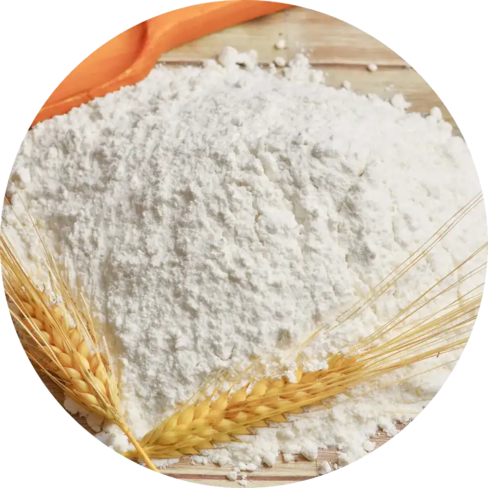 からだ想いの無添加パン